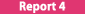 rp04.png
